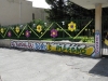 DSCN0558